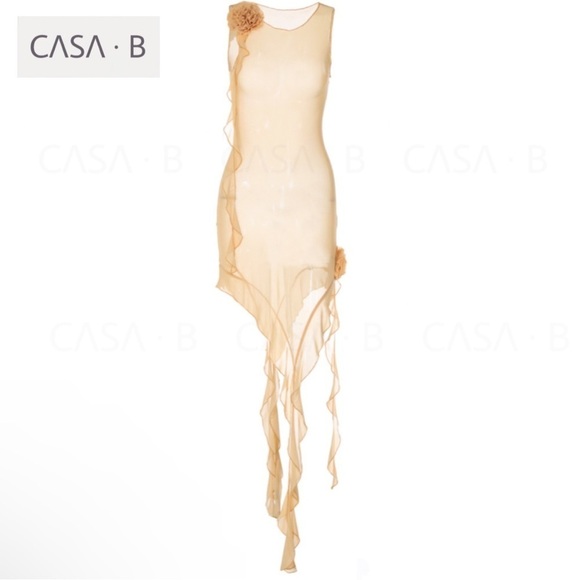 5⭐️CASA B | Florencia Sheer Mesh Floral Appliqué Dress in Nude - Picture 8 of 11